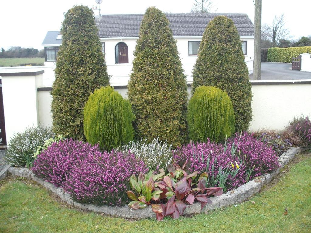 Maryville Bed And Breakfast Nenagh Exterior foto